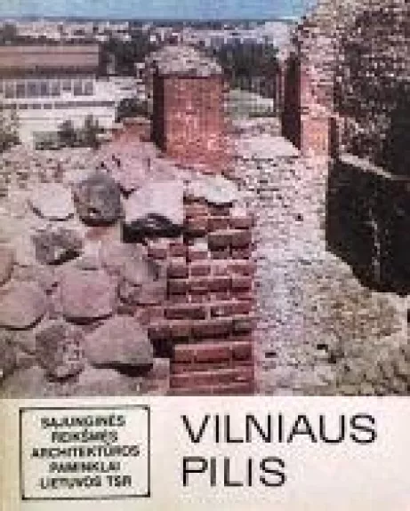 Vilniaus pilis