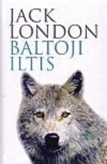 Baltoji iltis