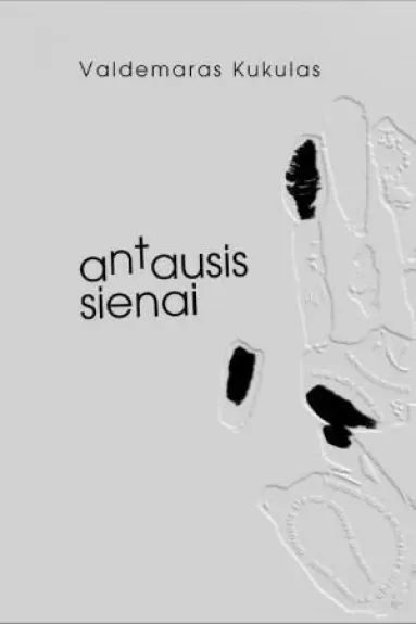 Antausis sienai