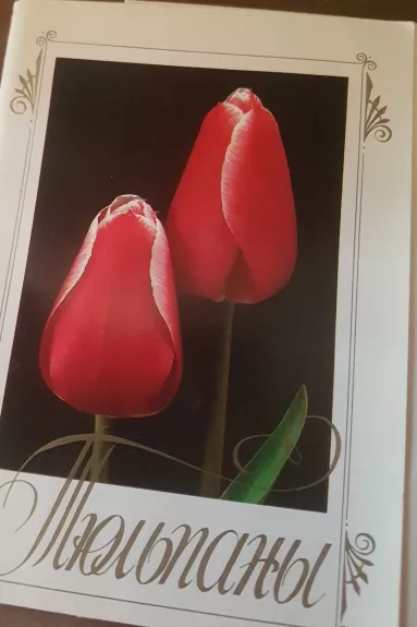 "Тюльпаны"  открытки