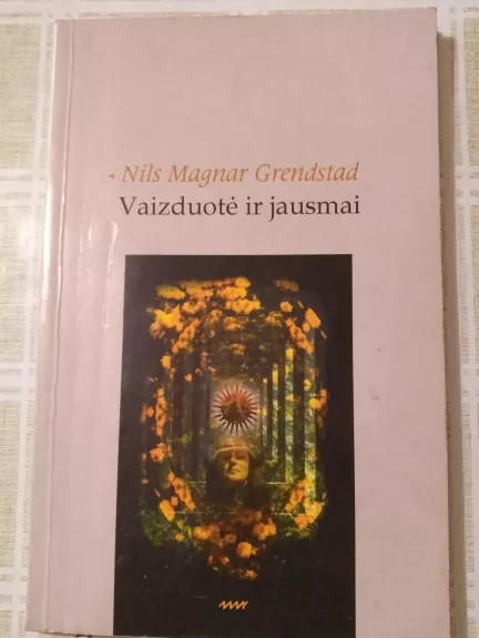 Vaizduotė ir jausmai