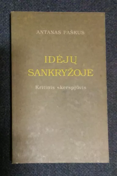 Idėjų sankryžoje: Kritinis skerspjūvis