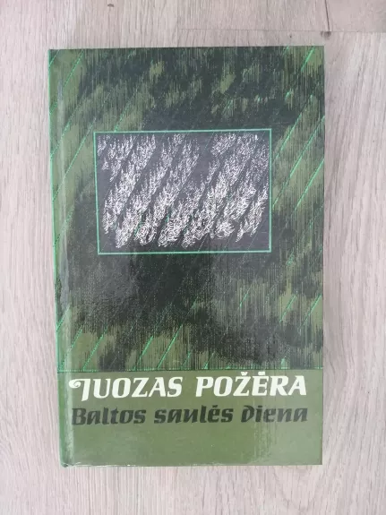 Baltos saulės diena