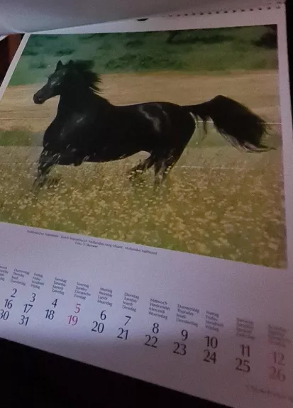Kalendorius Pferde in the wind 2000 (Horse)