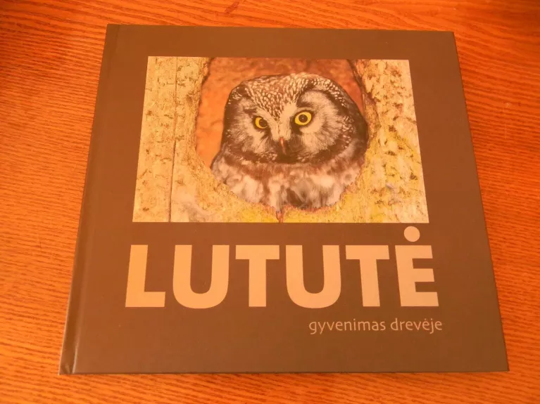 lutute gyvenimas dreveje