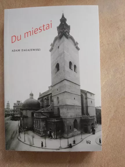 Du miestai