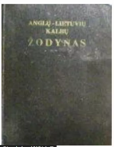 Anglų-lietuvių  kalbų žodynas