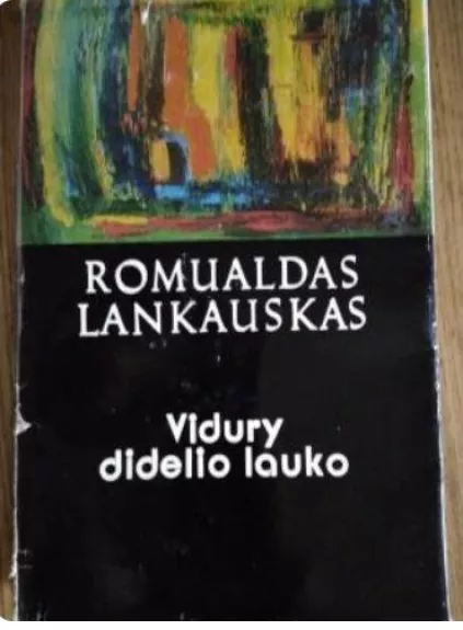 Vidury didelio lauko