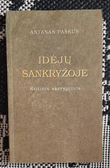 Idėjų sankryžoje: Kritinis skerspjūvis