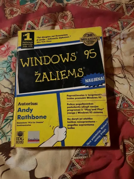 Windows 95 žaliems