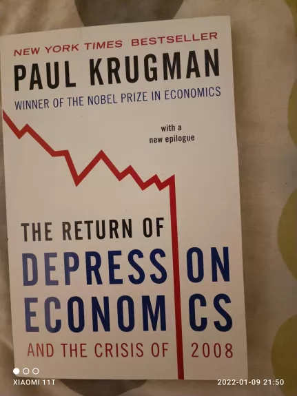 The return of depression economics and the crises of 2008
