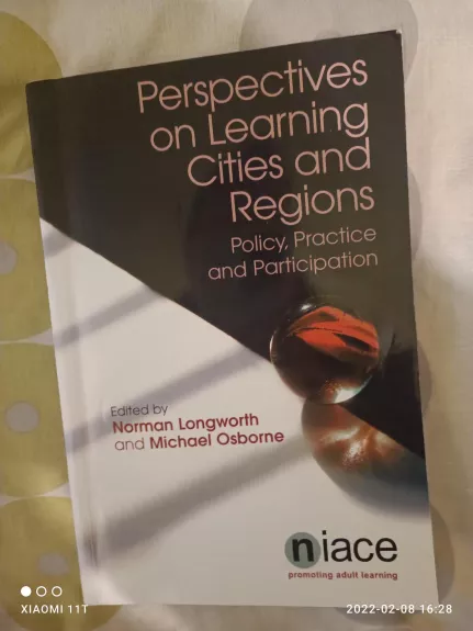 Perspectives on learning cities and regions