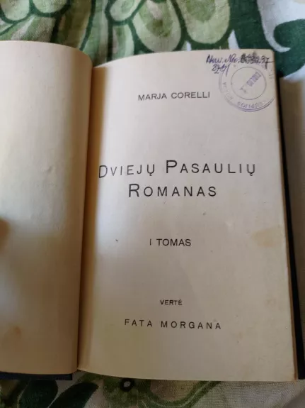 Dviejų pasaulių romanas, I-II dalis