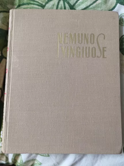 Nemuno vingiuose