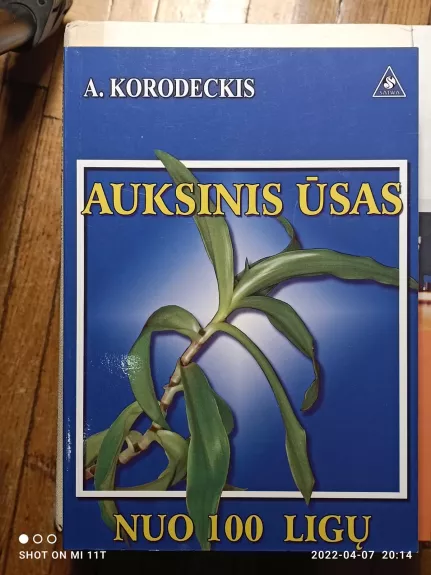 Auksinis ūsas