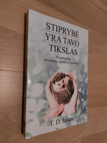 Stiprybė yra tavo tikslas: 10 patarimų dirbantiems priešiškoje aplinkoje