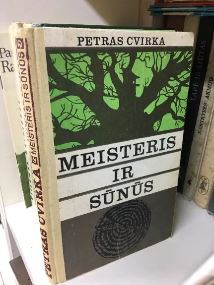 Meisteris ir sūnūs