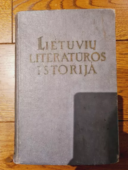 Lietuvių literatūros istorija (I tomas)