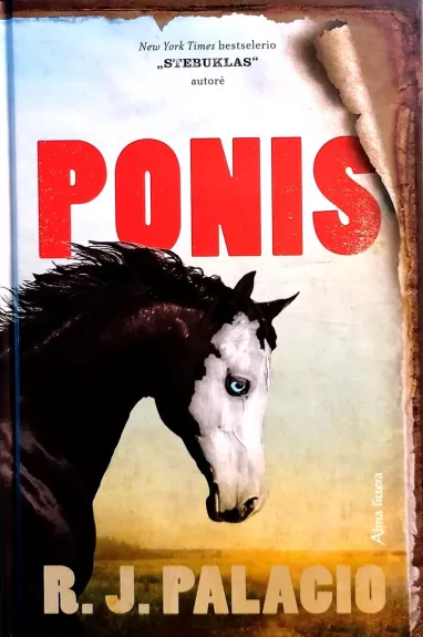 Ponis