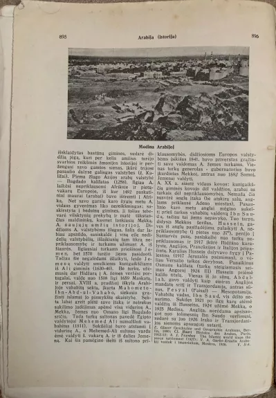 Lietuviškoji enciklopedija I tomas VII sąsiuvinis
