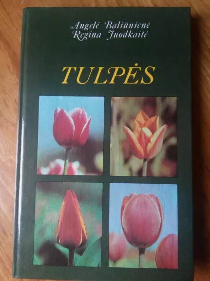 Tulpės