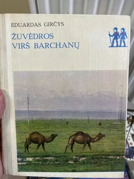 Žuvėdros virš barchanų