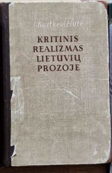 Kritinis realizmas lietuvių prozoje