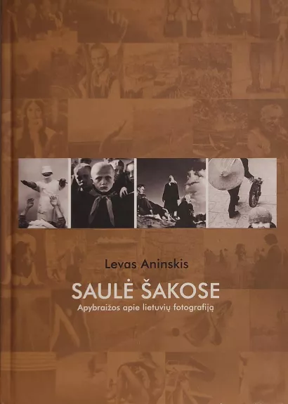 Saulė šakose (Apybraižos apie lietuvių fotografiją