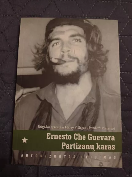 Partizanų karas