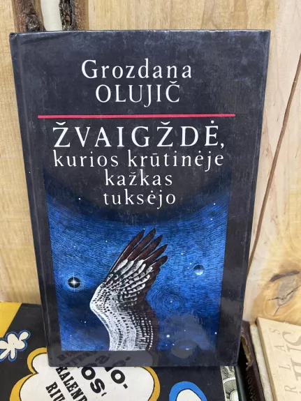 Žvaigždė kurios krūtinėje kažkas tuksėjo