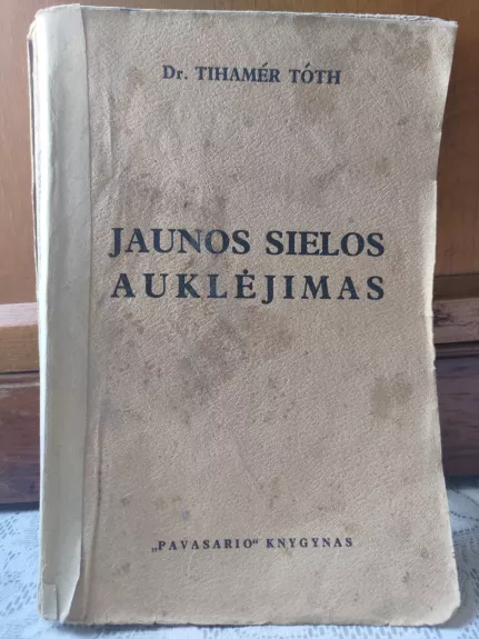 Jaunos sielos auklėjimas