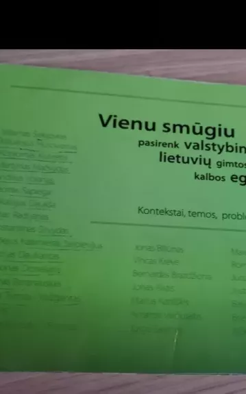 Vienu smūgiu pasirenk valstybiniam lietuvių kalbos egzaminui