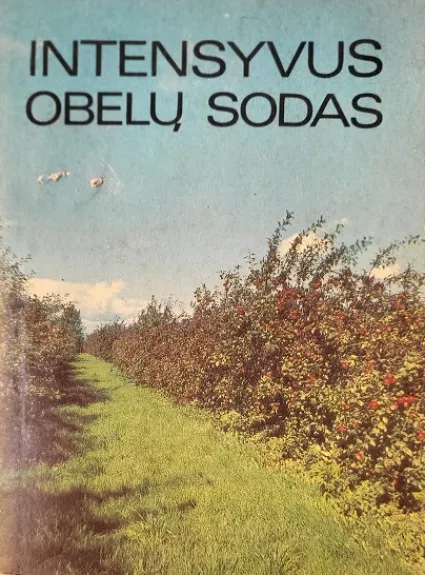 Intensyvus obelų sodas