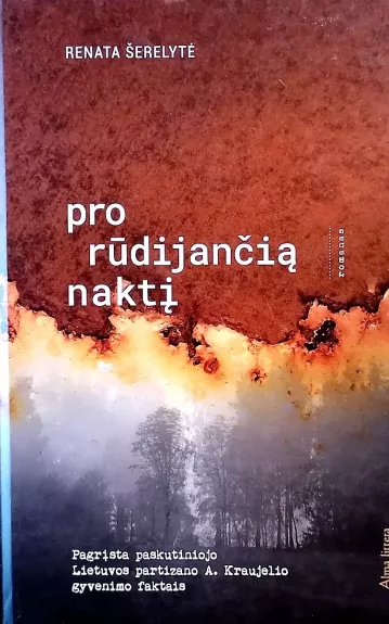 Pro rūdijančią naktį