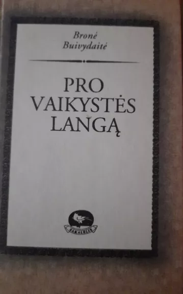 Pro vaikystės langą