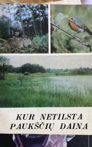 Kur netilsta paukščių daina