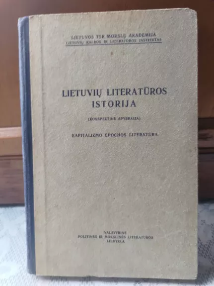Lietuvių literatūros istorija (konspektinė apybraiža): kapitalizmo epochos literatūra