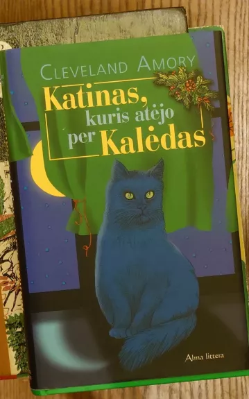 Katinas, kuris atėjo per Kalėdas