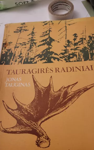 Tauragirės radiniai