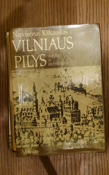 Vilniaus pilys