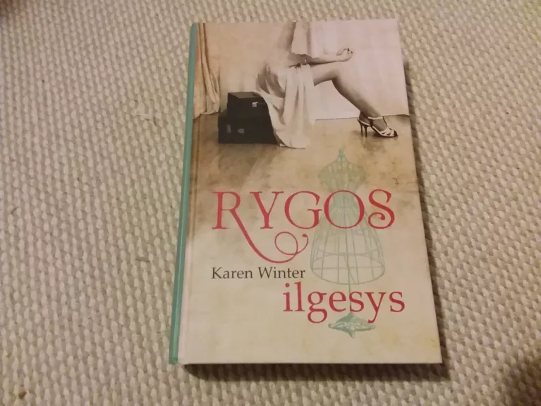 Rygos ilgesys