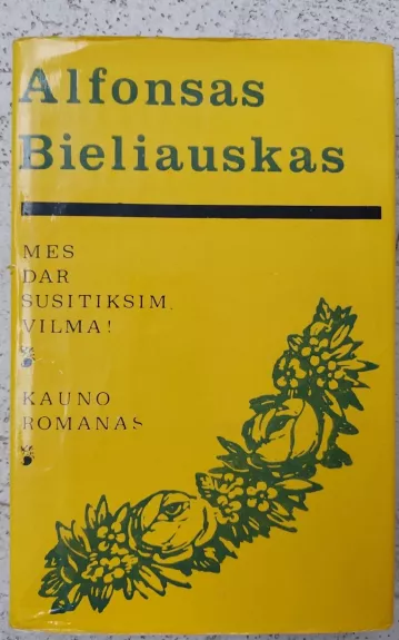 Mes dar susitiksim, Vilma! Kauno romanas