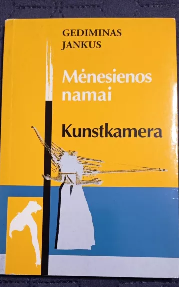 Mėnesienos namai ir Kunstkamera