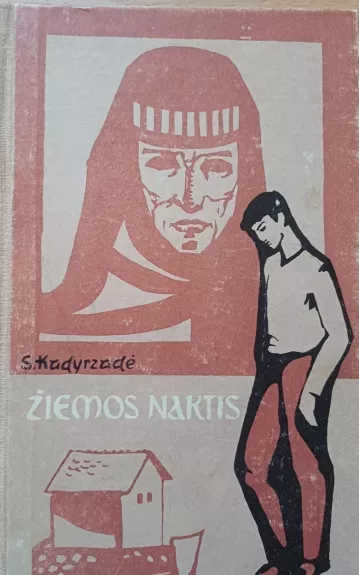 Žiemos naktis