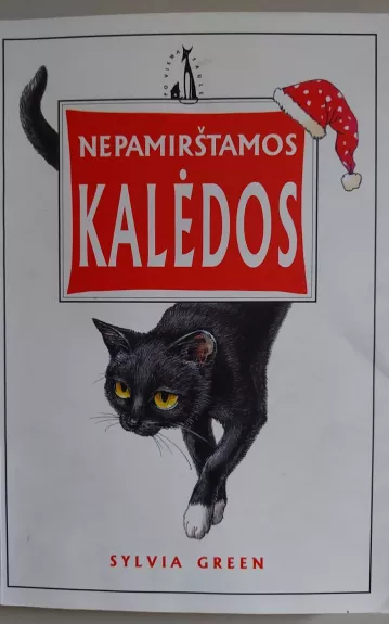 Nepamirštamos Kalėdos: ar kas nors parodys man kelią namo?