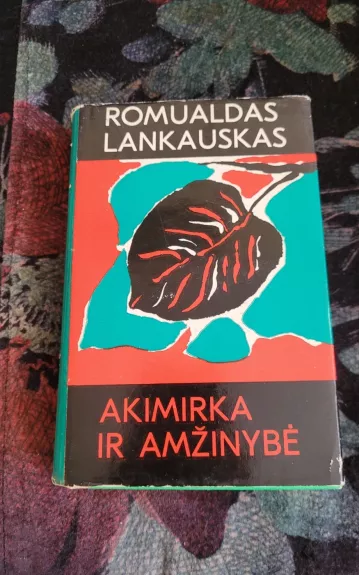 Akimirka ir amžinybė