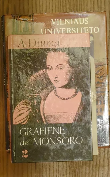 Grafienė de Monsoro (II dalis)