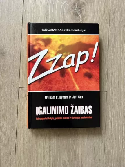 ZZap! Įgalinimo žaibas. Kaip pagerinti kokybę, padidinti našumą ir darbuotojų pasitenkinimą