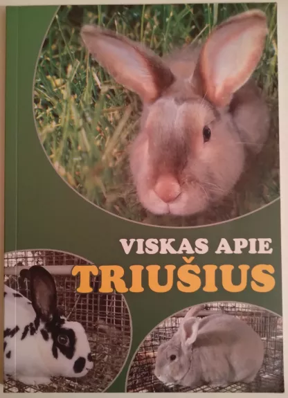 Viskas apie triušius