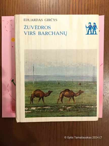 Žuvėdros virš barchanų